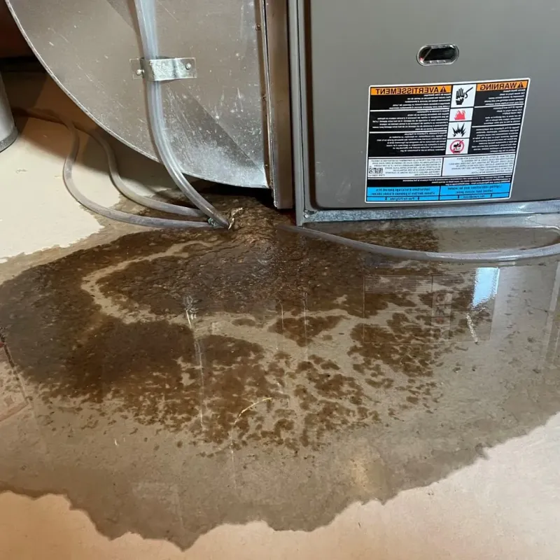 Pipe Burst and Leak Restoration in Keyser, WV
