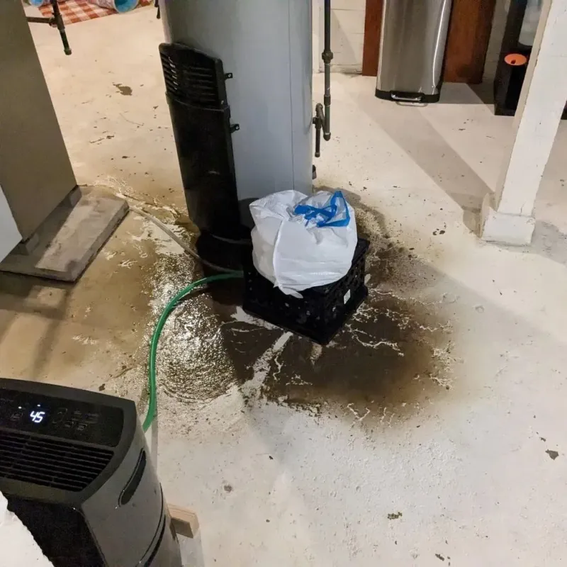 Sewage Backup Cleanup Service in Keyser, WV